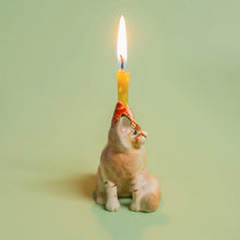 Load image into Gallery viewer, Maine Coon Cat Cake Topper