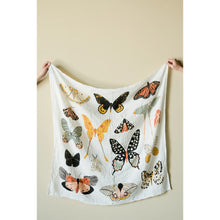 Load image into Gallery viewer, Swaddle - Butterfly Collector