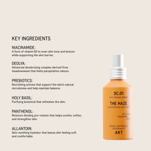 Load image into Gallery viewer, The Haze | Deodorizing Body Mist