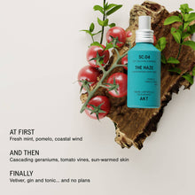 Load image into Gallery viewer, The Haze | Deodorizing Body Mist