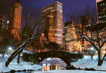 Load image into Gallery viewer, Pleasures of Wintering