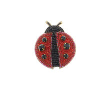 Load image into Gallery viewer, Ladybug Brooch