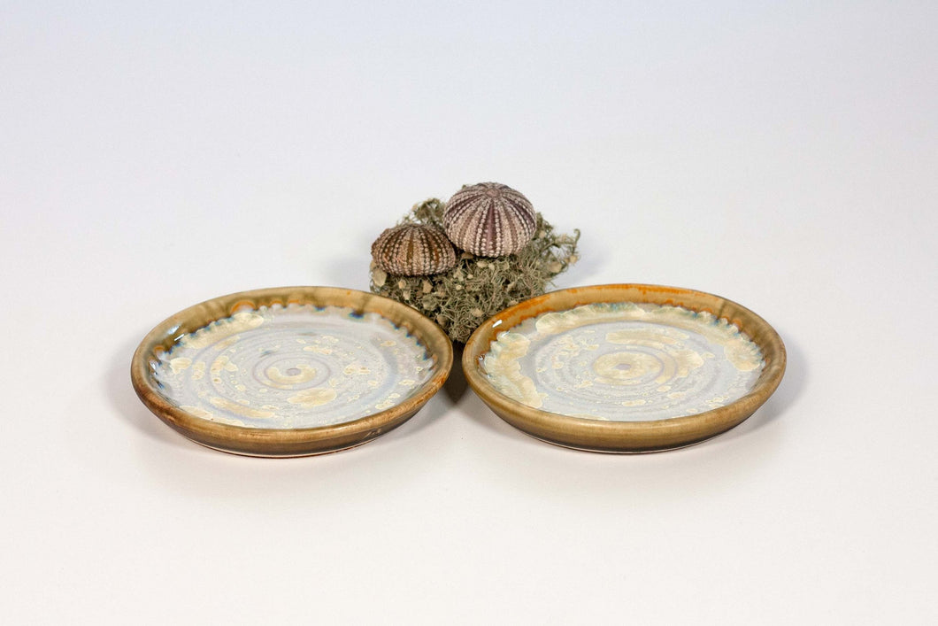 Coasters -  Abalone & Tortoise