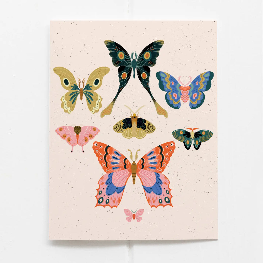 Moths Card