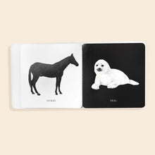Load image into Gallery viewer, Babys Tummy Time Box Set