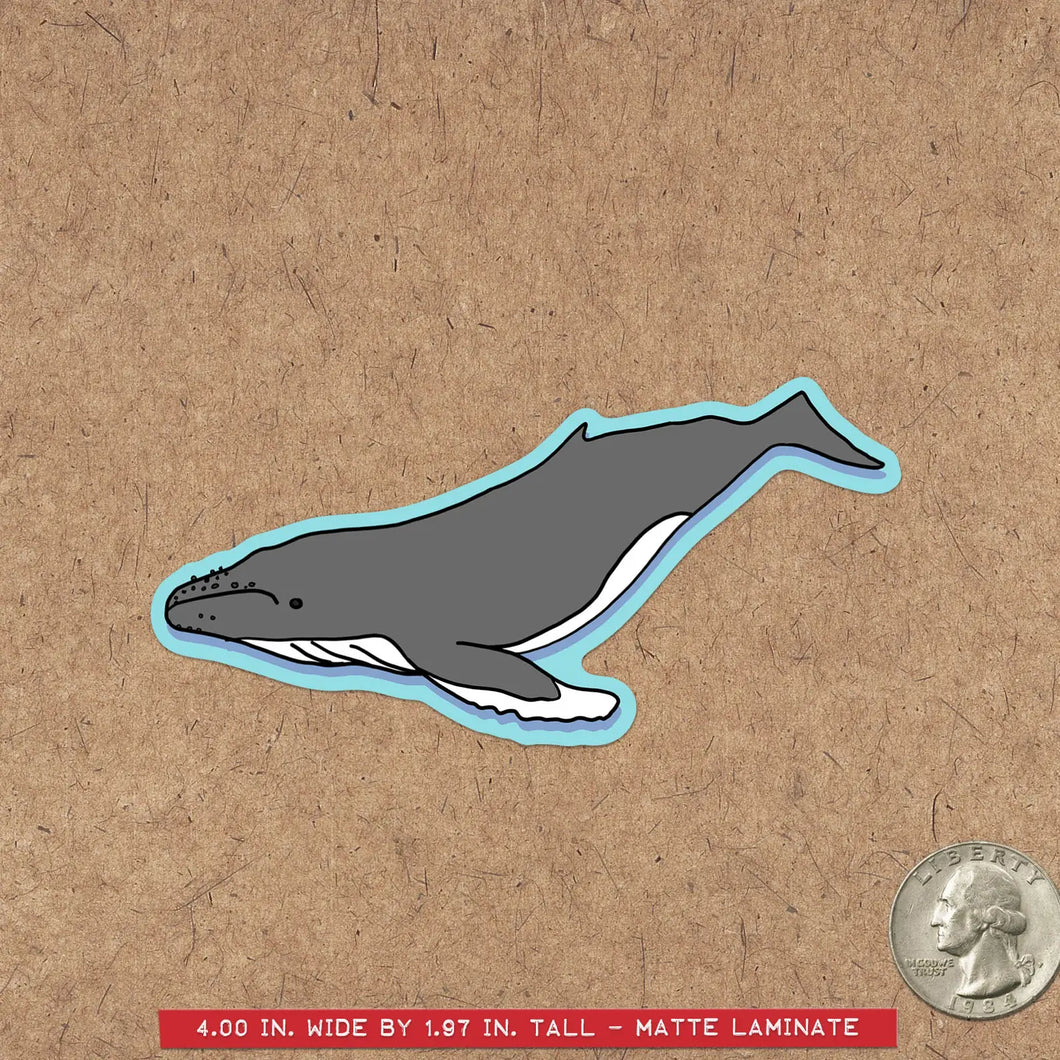 Humpback Whale Sticker