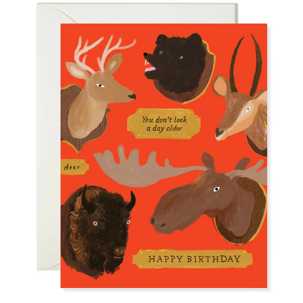 Taxidermy Birthday Card