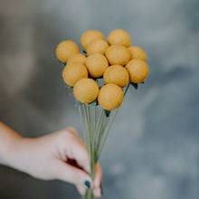Load image into Gallery viewer, Felt Craspedia