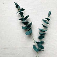 Load image into Gallery viewer, Felt Eucalyptus