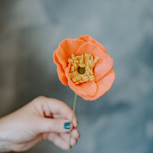 Felt Icelandic Poppy - Coral