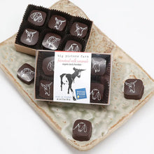 Load image into Gallery viewer, Chocolate-Covered Goat Milk Caramels