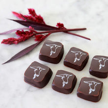 Load image into Gallery viewer, Chocolate-Covered Goat Milk Caramels
