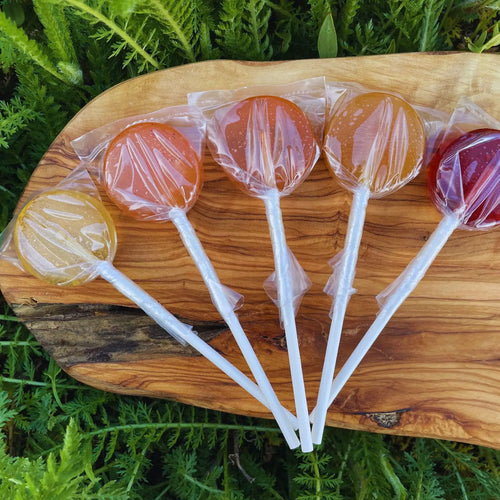 Plants & Planets Lollipops