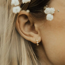 Load image into Gallery viewer, Alice Diamond Hoops