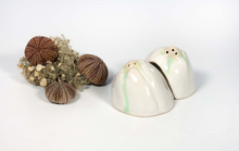 Load image into Gallery viewer, Barnacle Salt and Pepper Shakers