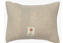 Load image into Gallery viewer, Friends Canoe Pocket Pillow