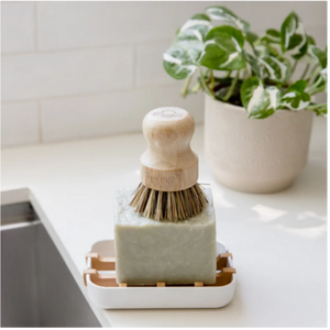 Plant-Based Biodegradable Soap Dish