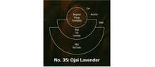 Load image into Gallery viewer, Ojai Lavender Car Fragrance