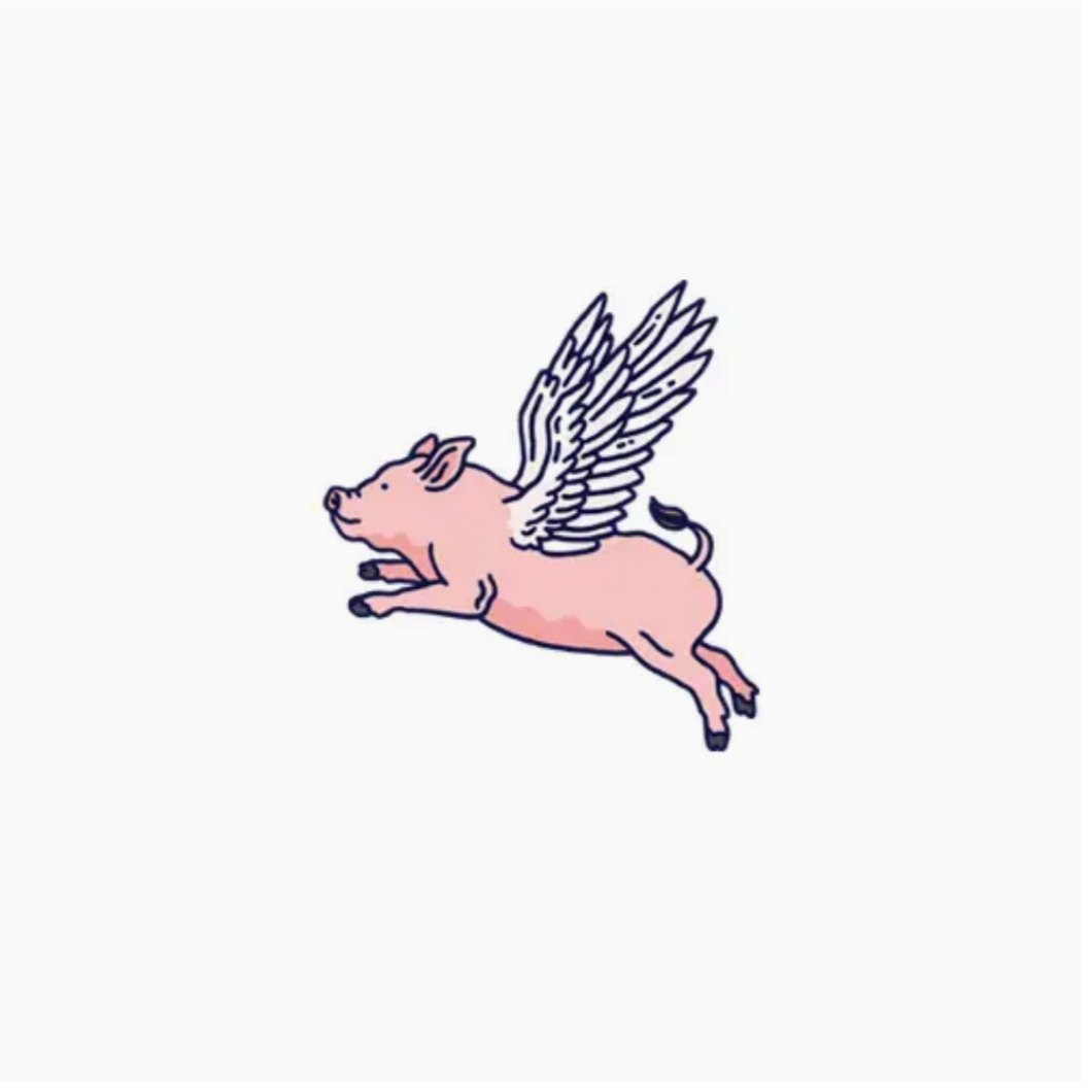 Temporary Tattoo Pairs - Flying Pig