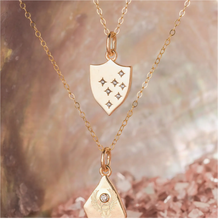 Load image into Gallery viewer, Lucky Tallisman Shield Protection Charm Necklace