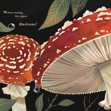 Load image into Gallery viewer, Mushroom Rain