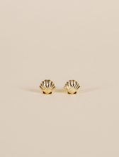 Load image into Gallery viewer, Seashell Studs