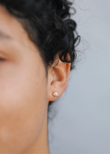 Load image into Gallery viewer, Seashell Studs
