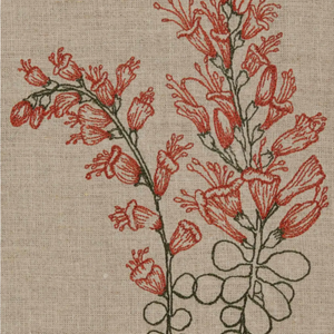 Ocotillo Bloom Tea Towel