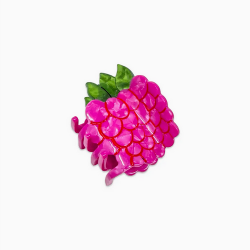 Mini Raspberry Hair Claw