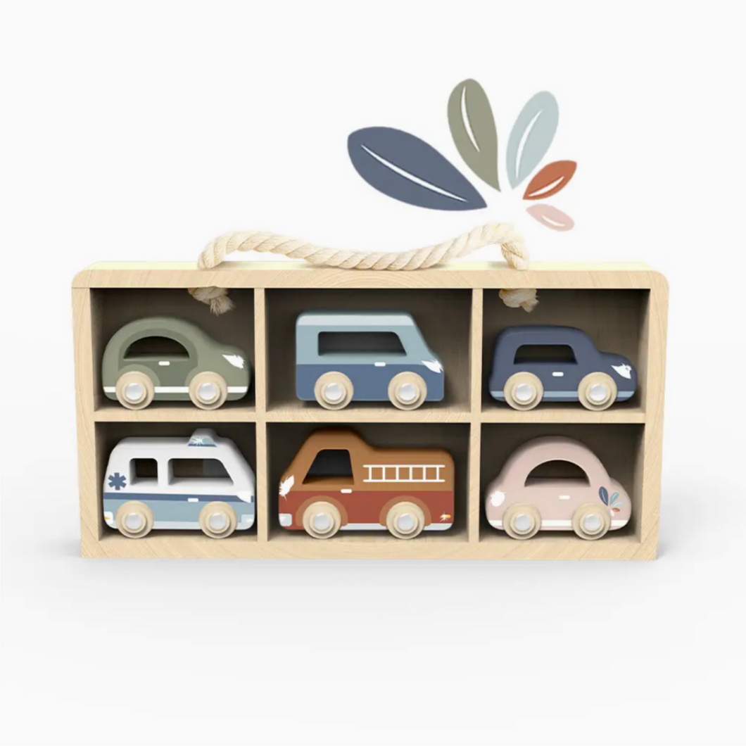 Car Display with 6 Vehicles