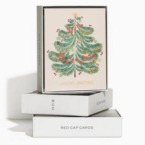 Festive Evergreen Seasons Greetings Boxed Set