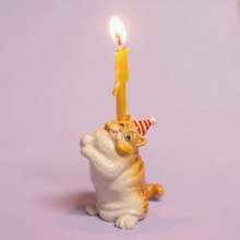 Load image into Gallery viewer, Exotic Short Hair Cat Cake Topper