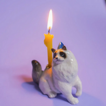 Load image into Gallery viewer, Ragdoll Cat Cake Topper