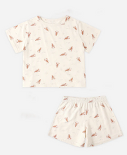 Load image into Gallery viewer, Play Set - Lobsters