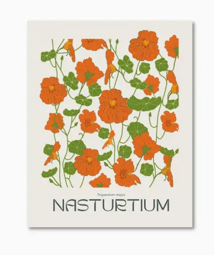 Botanical Nasturtium Print