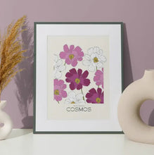 Load image into Gallery viewer, Botanical Cosmos Print