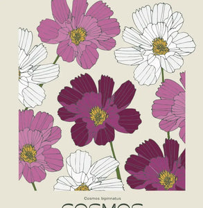 Botanical Cosmos Print