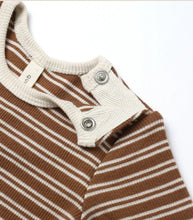 Load image into Gallery viewer, Ribbed Bodysuit 2 Pack - Cedar Micro Stripe/ Acorns