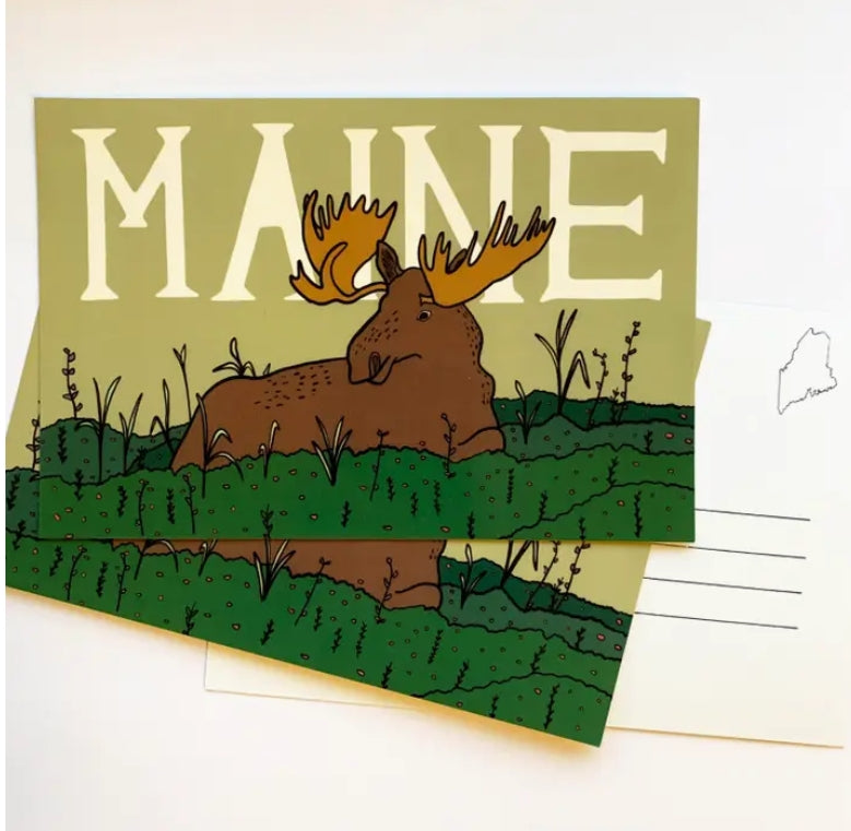 Maine Moose Postcard