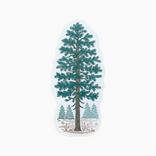 Load image into Gallery viewer, Pine Tree Postcard
