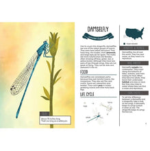 Load image into Gallery viewer, Kid&#39;s Guide to Backyard Bugs