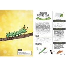 Load image into Gallery viewer, Kid&#39;s Guide to Backyard Bugs