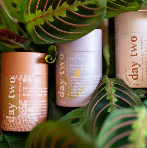 Day Two Dry Shampoo - Daydream