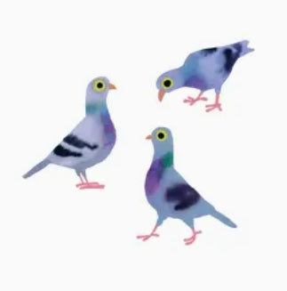 Temporary Tattoo Pairs - Pidgeon Pals