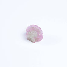 Load image into Gallery viewer, Mini Scallop Shell Hair Claw Clip