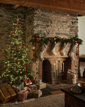 Load image into Gallery viewer, Home for the Holidays Bucket