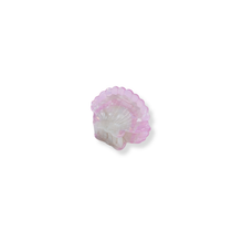 Load image into Gallery viewer, Mini Scallop Shell Hair Claw Clip