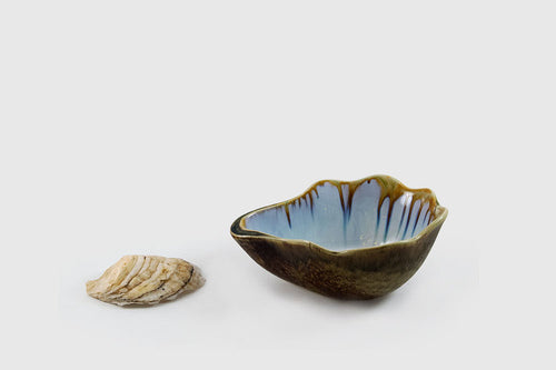 Soup Bowl - Abalone & Tortoise
