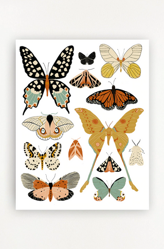 Butterfly Collector Print