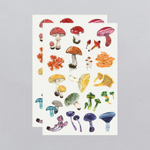 Load image into Gallery viewer, Colorful Mushrooms Sheet